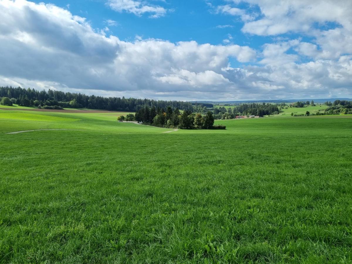 Modern Eingerichtete 3-Zi-Ferienwohnung Zu Vermieten Löffingen Exteriér fotografie